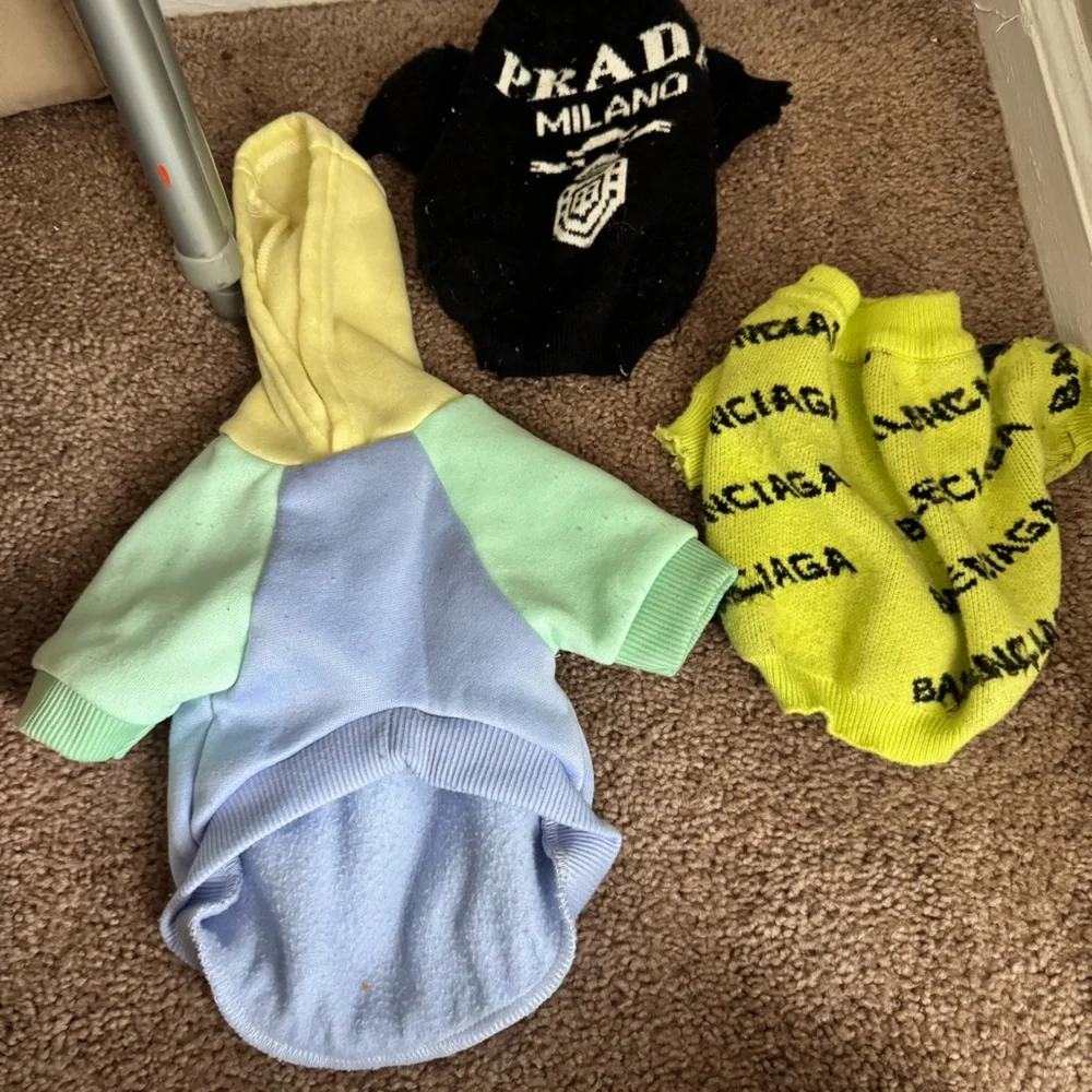 Colorful Dog or cat Sweater Set
